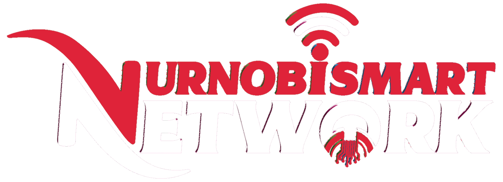 nurnobismartnetwork